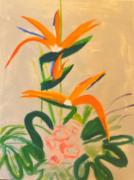 Oiseaux de Paradis